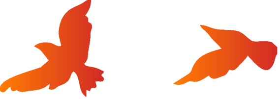 20260909154420_9321 20260909154420_9321