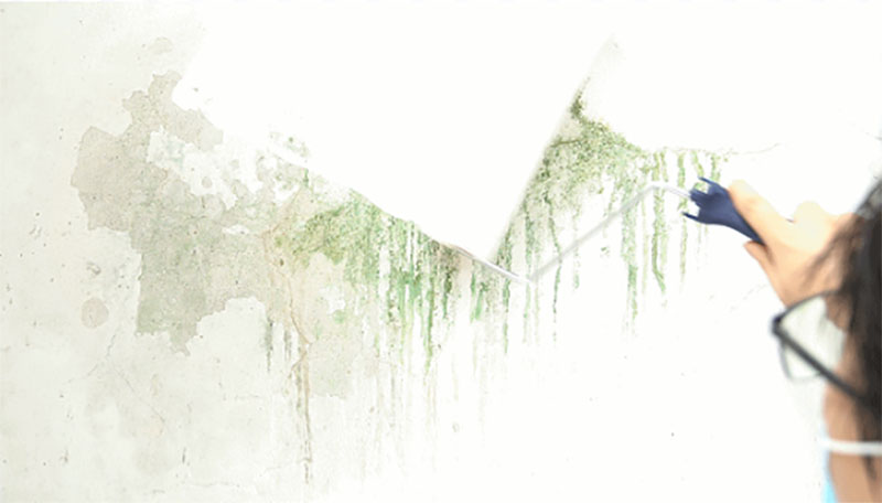 永利集团·88858cc(中国游)官方网站