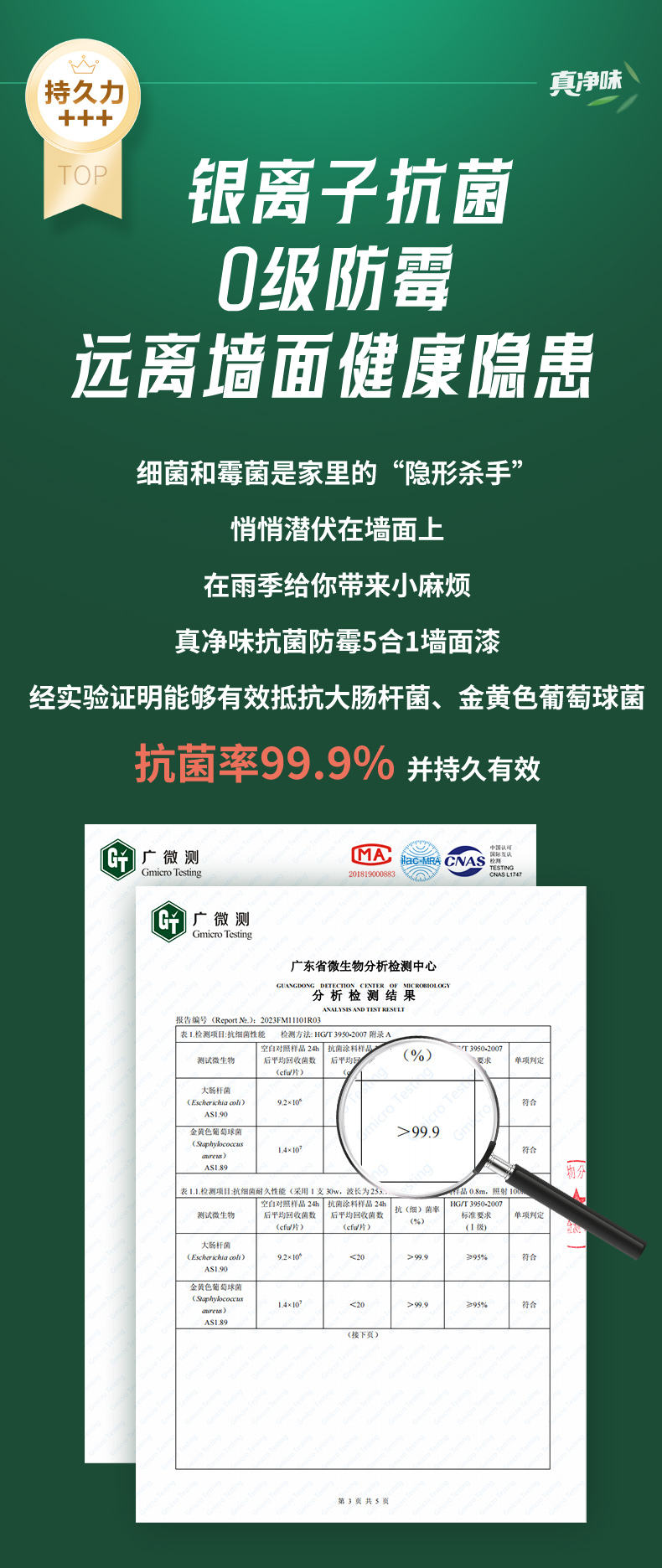 永利集团·88858cc(中国游)官方网站